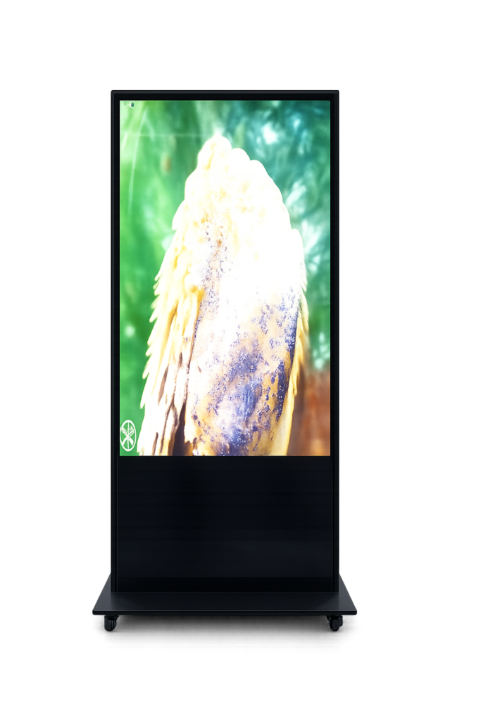 Full upright digital signage kiosk for retail and reception spaces